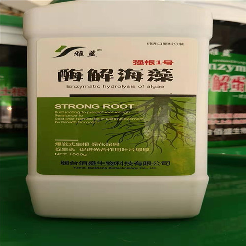 ���{ø�⺣��